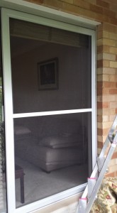 basic fly screen door